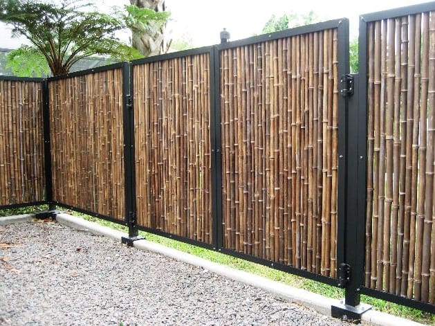 Bamboo Fence