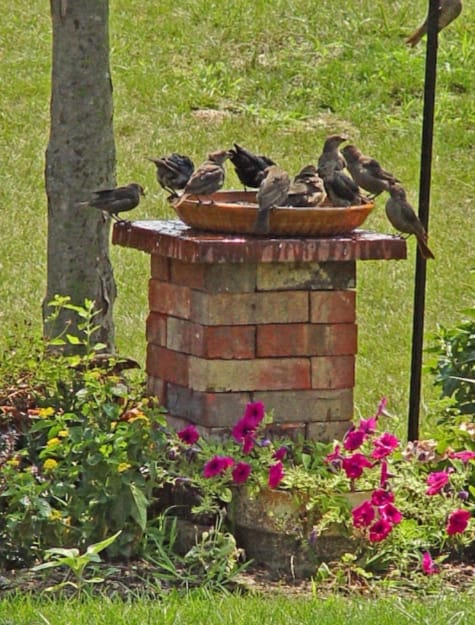 Brick bird bath