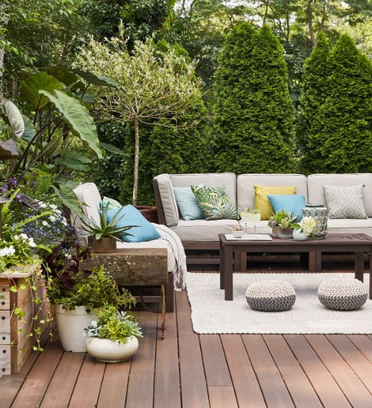 Privacy Plants for Natural Gardens