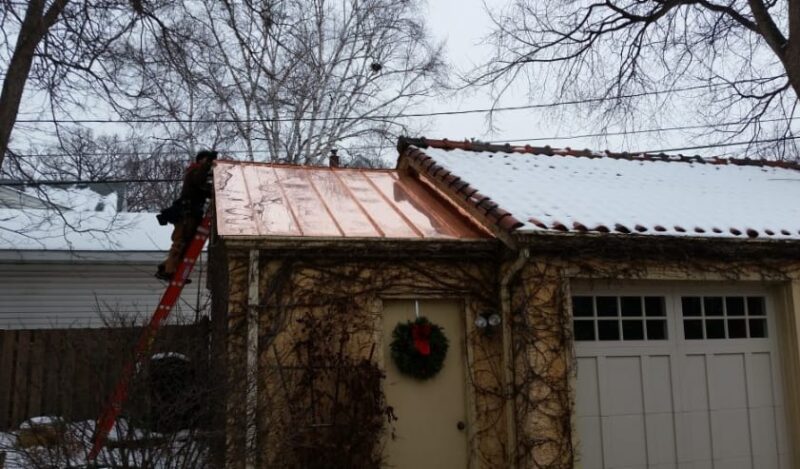 Cut back trees and branches