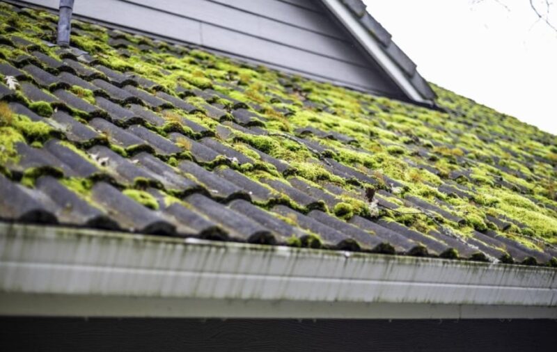 Tips for Maintaining a Roof after Winter