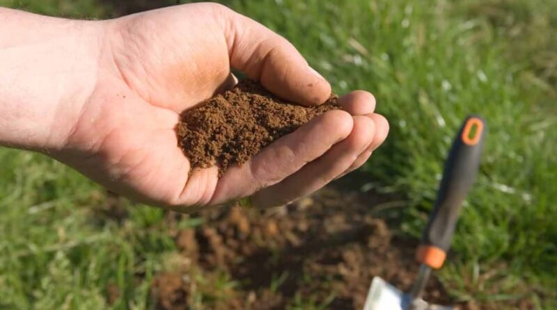 Test your soil whenever necessary