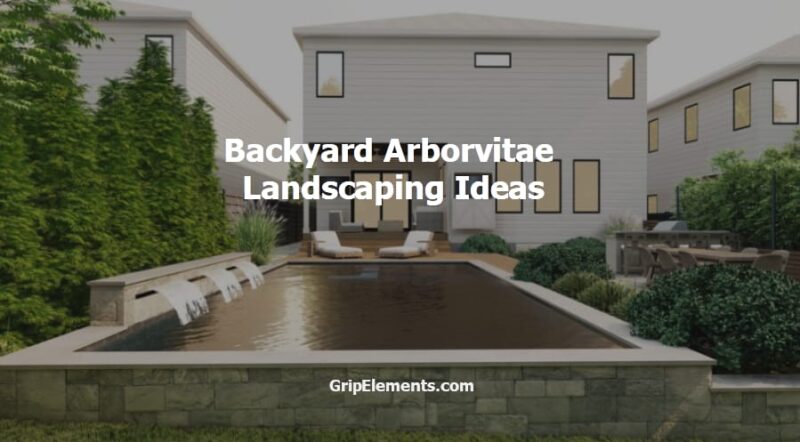 Backyard Arborvitae Landscaping Ideas