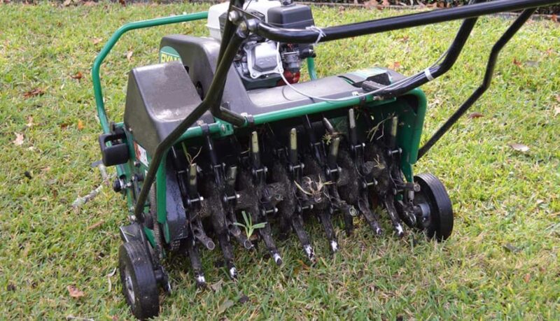 Benefits of Aeration and Overseeding