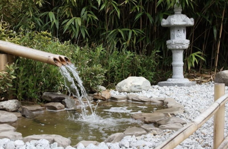 Zen Garden Ideas on a Budget