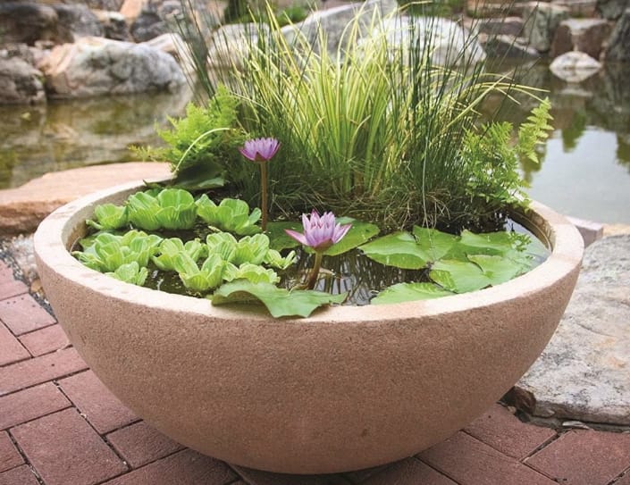 Create a Miniature Pond