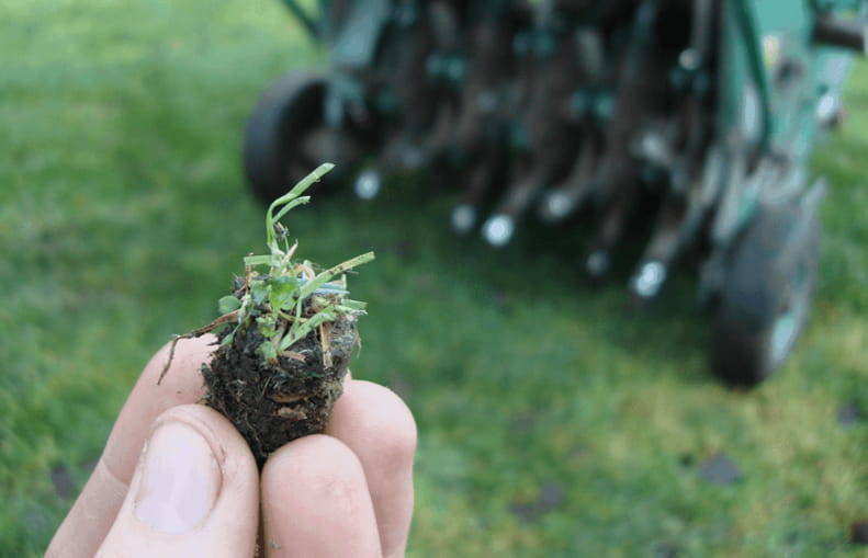 How to Implement Aeration and Overseeding