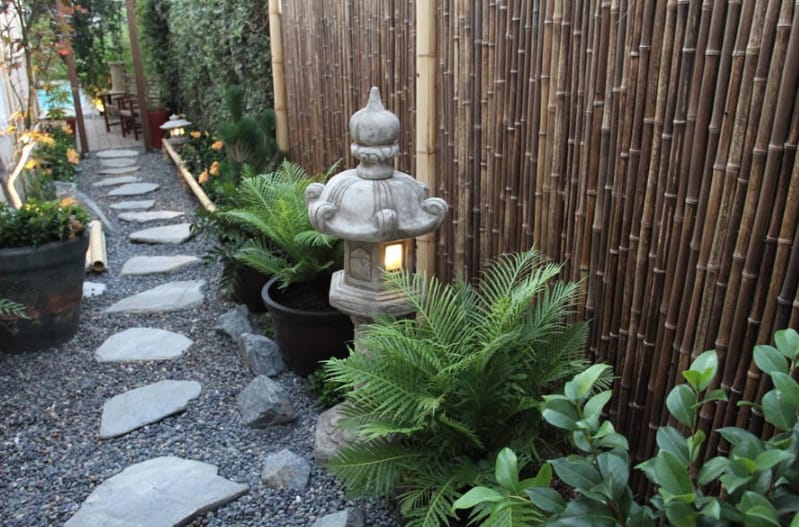 Use Bamboo to Create Screens or a Backdrop