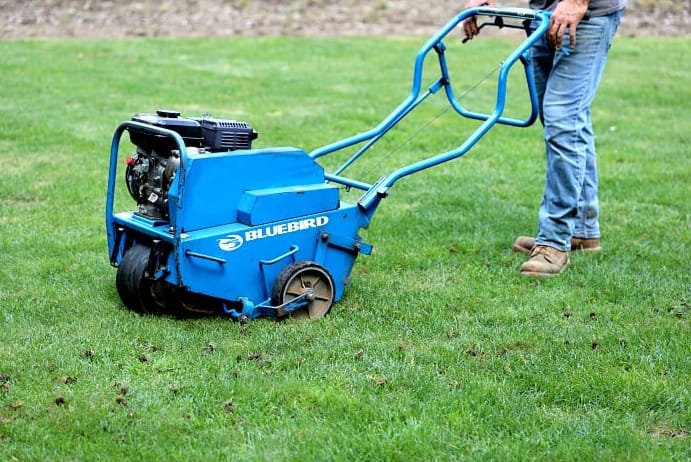 What are Aeration and Overseeding