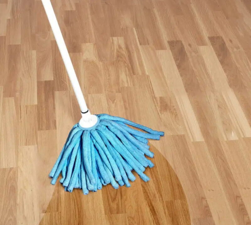 Strip Mop