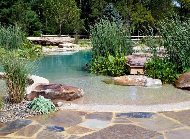 Natural Swimming Pool