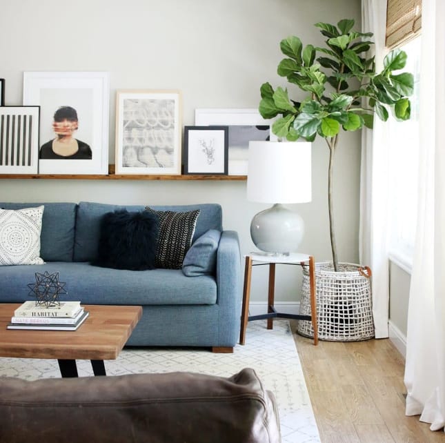 long-line variant shelves