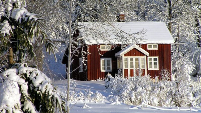 Should You Repair or Replace Your Roof