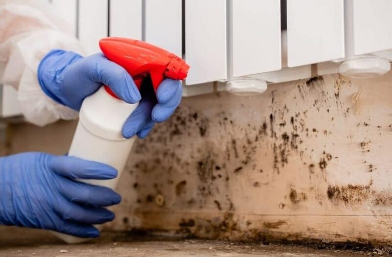 Professional remediators