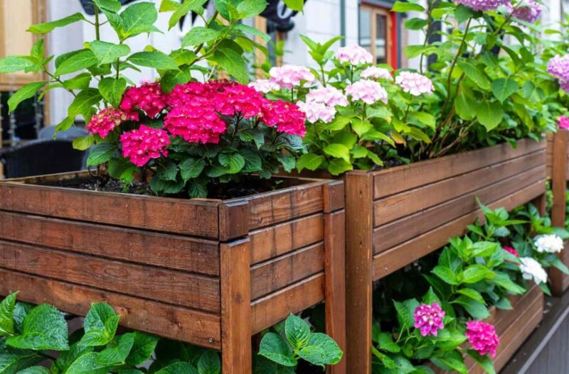 Two-tiered Wooden Flower Bed