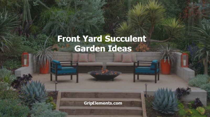 front yard succulent garden ideas