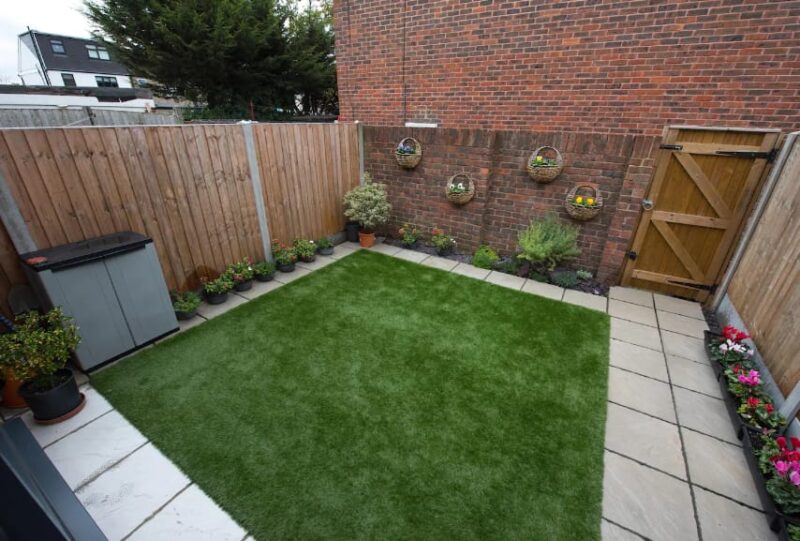 plant grass in backyard