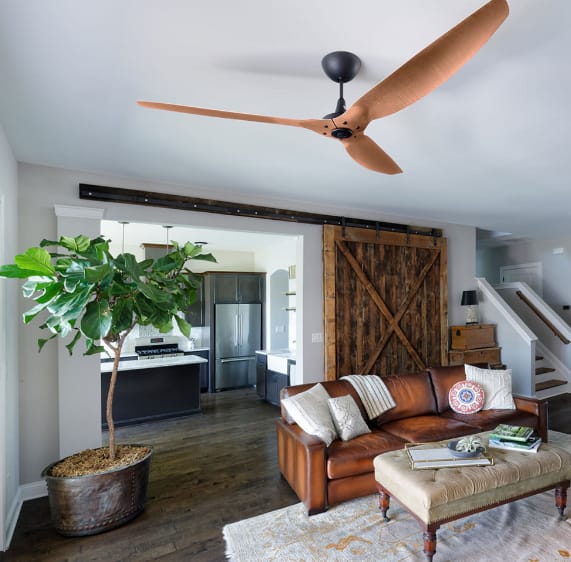 Modern ceiling fans