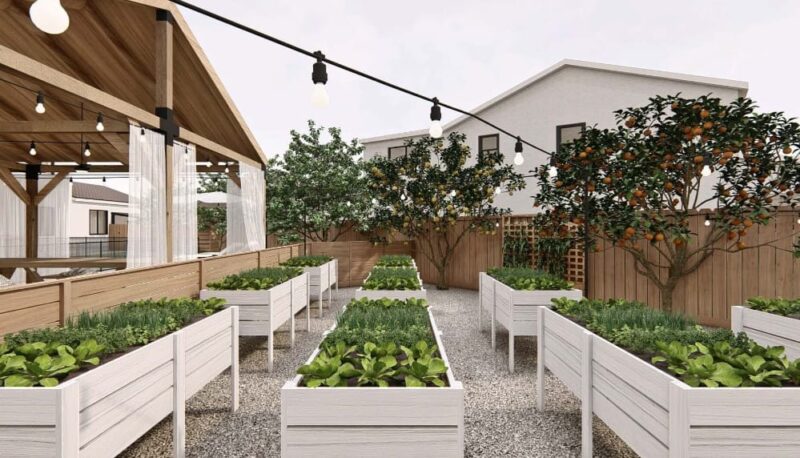 Backyard full of Waist-High Garden Beds