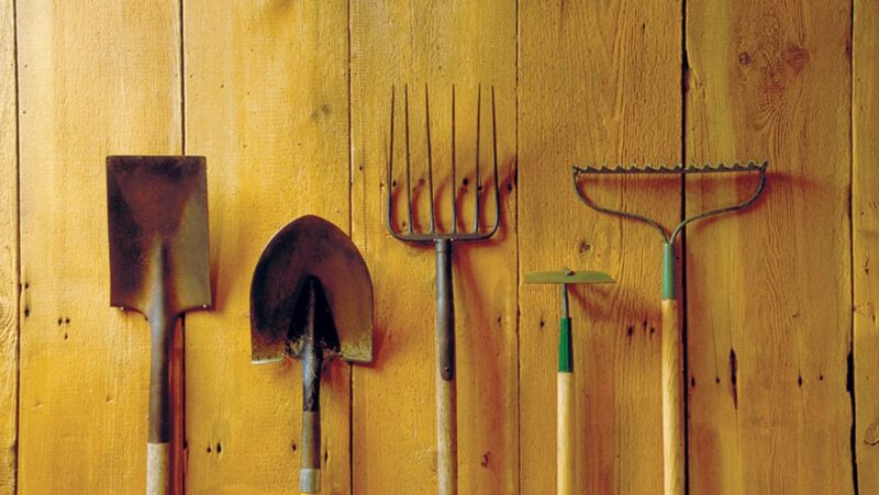 Clean and Store Tools from Winter