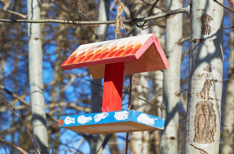 DIY Bird Feeder Artwork