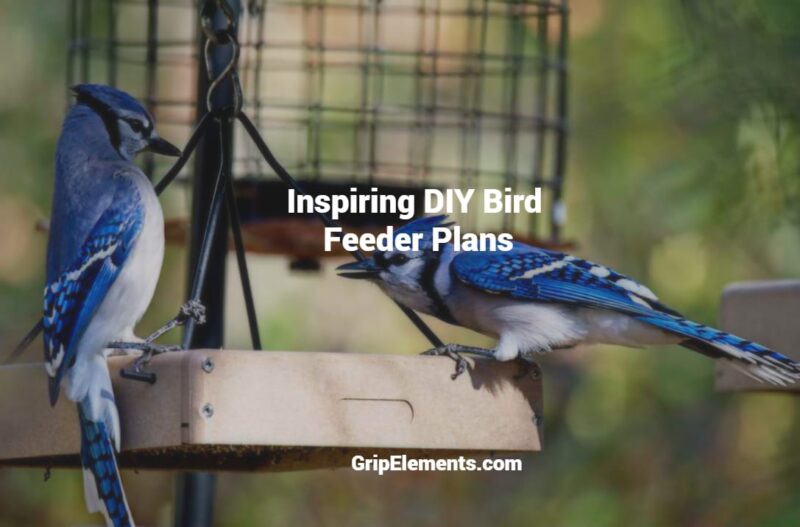 DIY Bird Feeder Plans