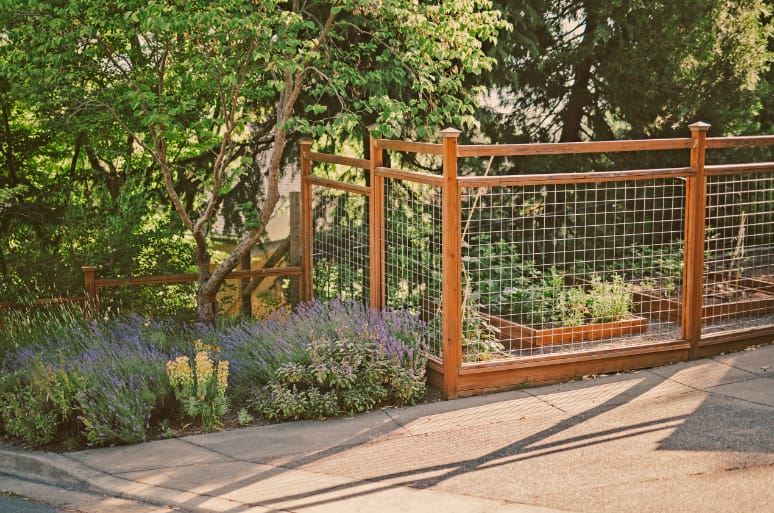 Simple Wood and Wire Fence