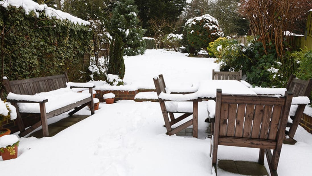 10 Ways To Care For Your Garden This Winter