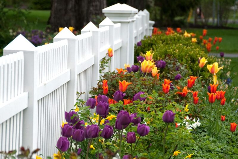 garden Plan for Spring