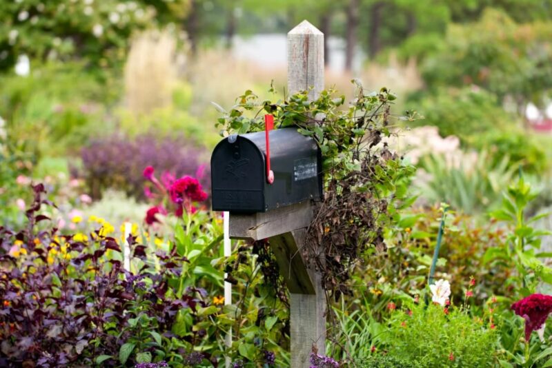 Camouflaging Mailbox