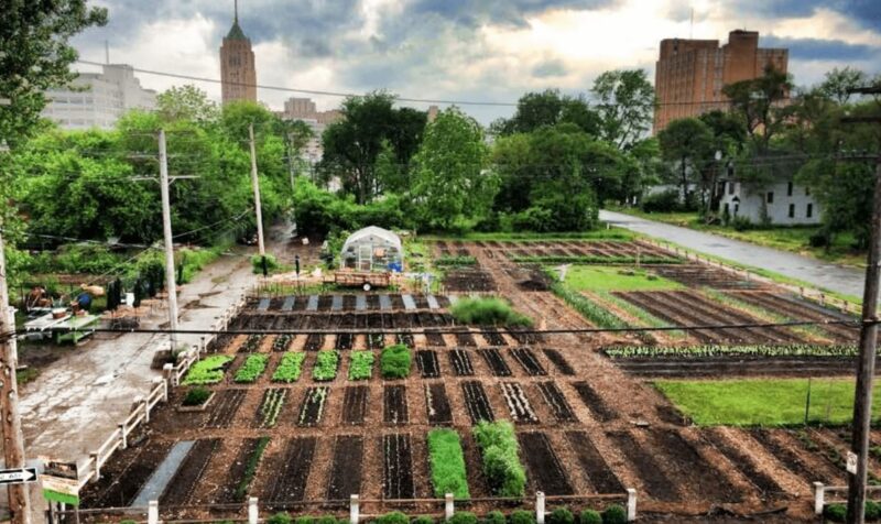 Managing Topsoil in Limited Spaces