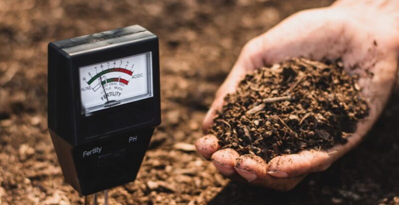 Soil Testing and Amendments