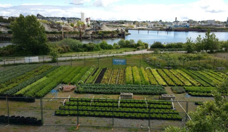 Urban Gardening and Topsoil Management