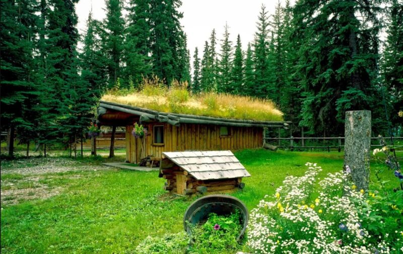 green roof shed