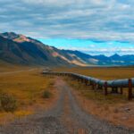 Fascinating Pipeline Facts